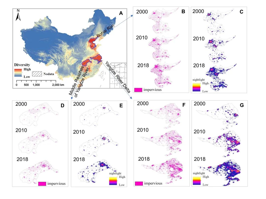 吕永龙团队在Science Advances上发表城市化对鸟类多样性空间分布和物种相似性影响的重要成果