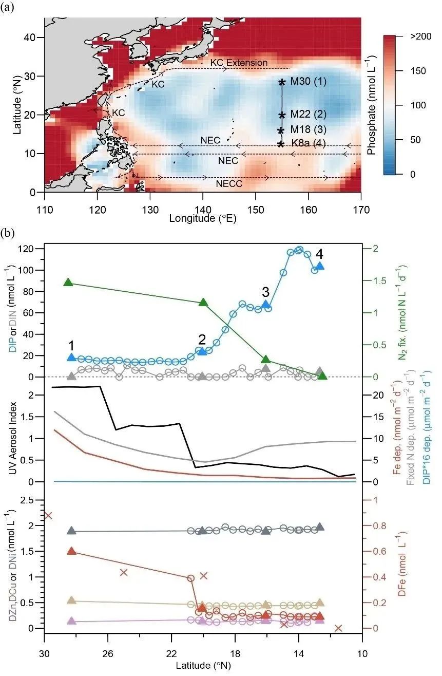 4166金沙之选主页通道戴民汉教授揭示西北太平洋区域性磷匮乏的潜在形成机制与生态效应