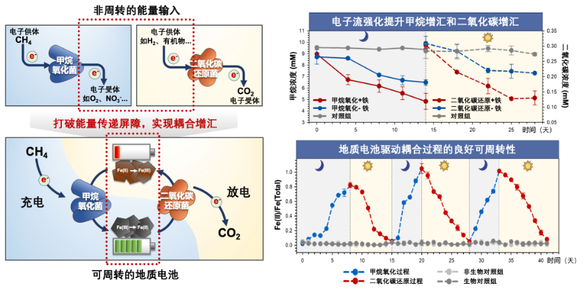 科研进展 | 微生物电化学驱动的温室气体增汇研究