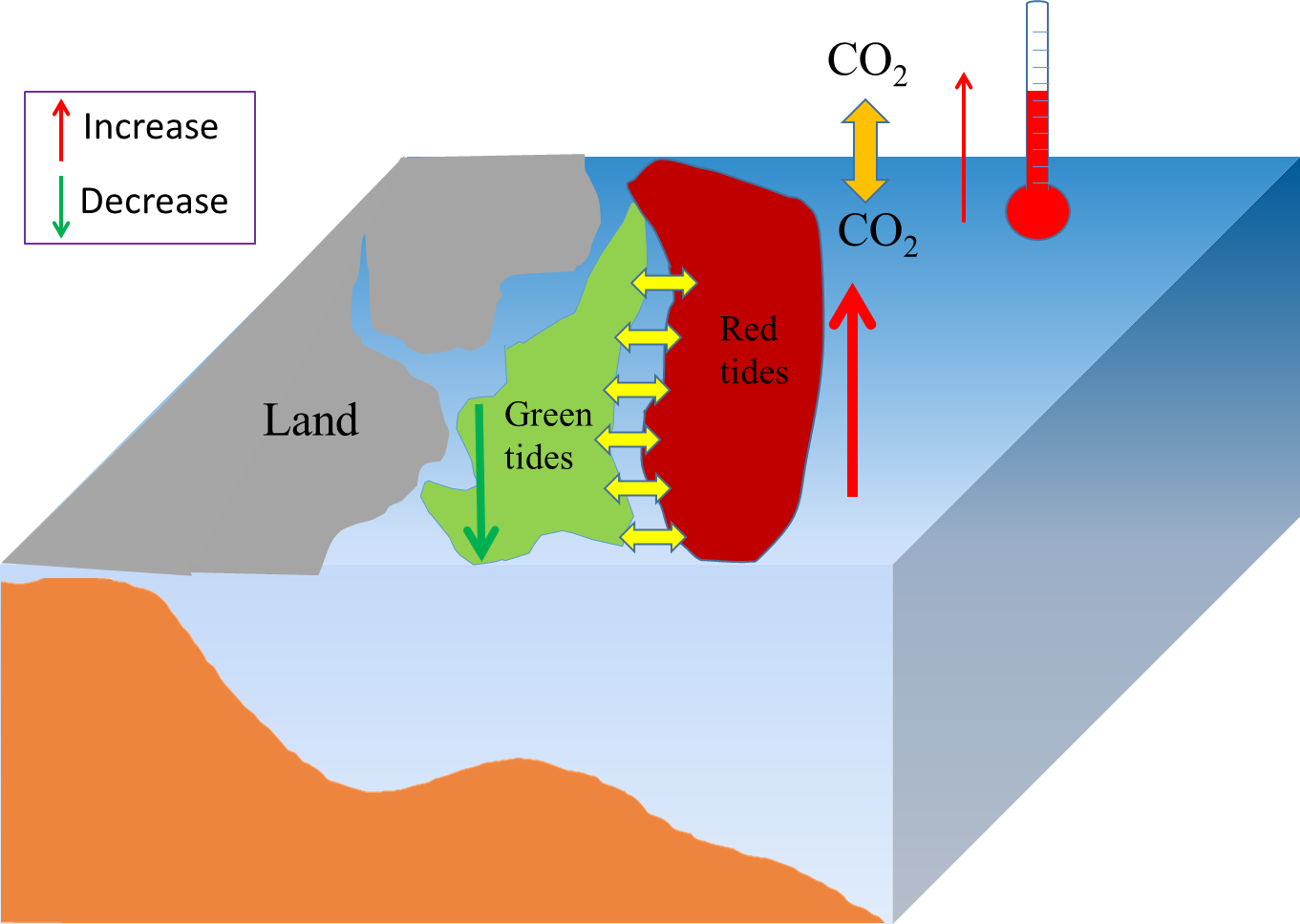 全球气候变化下赤潮藻和绿潮藻竞争关系的演变Alteration of competition between red tide and green tide algae under climate change